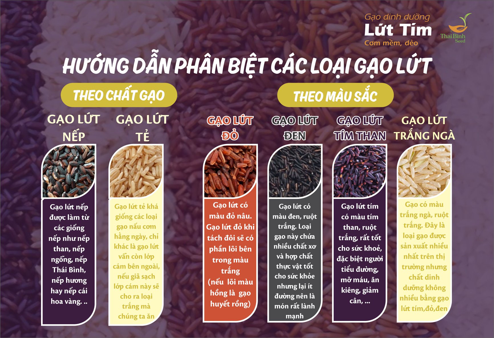 Các Loại Gạo Phổ Biến Tại Việt Nam - Cách Chọn Loại Phù Hợp Cho Gia Đình