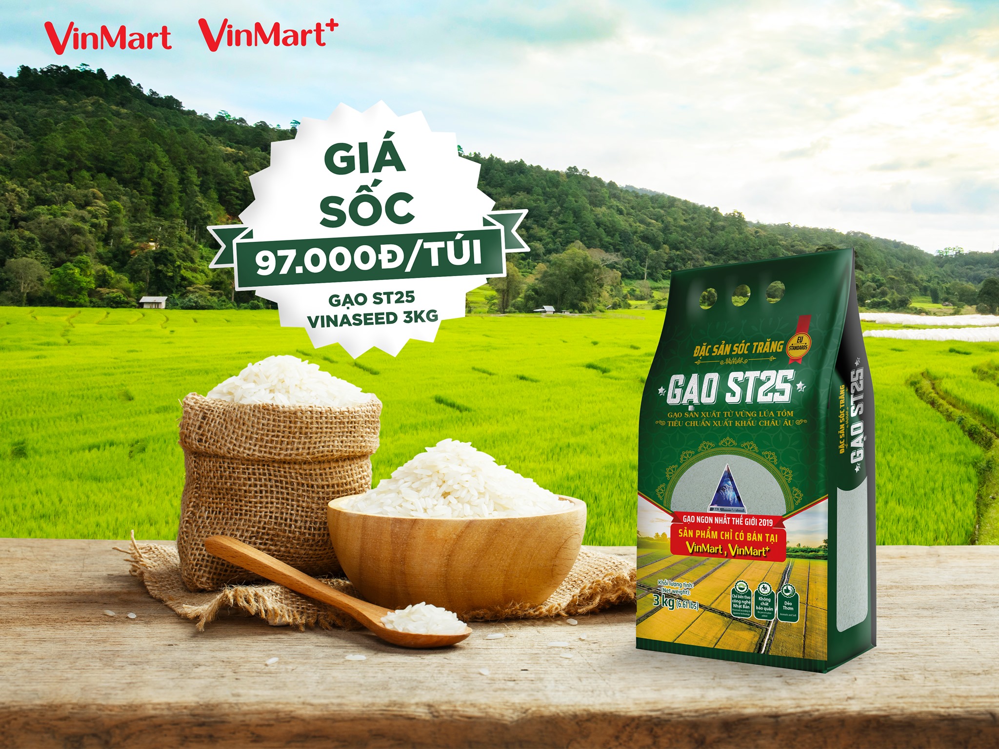 Gạo ST25 Giá Bao Nhiêu? Cập Nhật Mới Nhất Những Điều Bạn Cần Biết