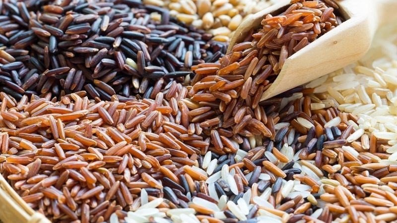 Ăn gạo lứt giúp ngăn ngừa thiếu máu và tăng cường sức đề kháng