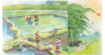 Bài thơ Hạt gạo làng ta trong sách giáo khoa Tiếng Việt lớp 5, thể hiện giá trị của gạo và công sức người nông dân