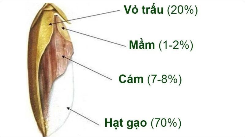 Bún gạo lứt giữ được chất dinh dưỡng của lớp cám và phôi mầm