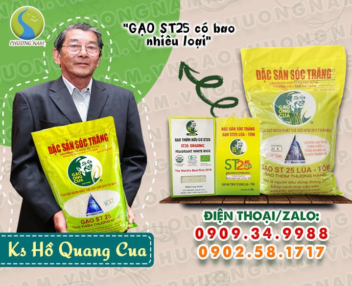 Các loại gạo ST25 phổ biến trên thị trường, bao gồm lúa thường, lúa tôm, hữu cơ và GABA