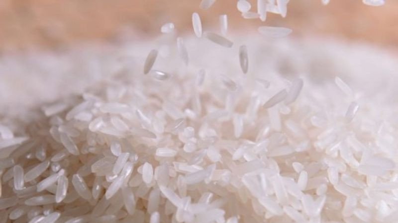 Cánh đồng lúa thơm lài xanh mướt ở Đồng bằng Sông Cửu Long
