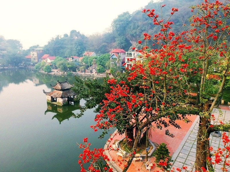 Cây hoa gạo ở chùa Thầy đơm bông rực rỡ, in bóng xuống mặt nước vào tháng 3