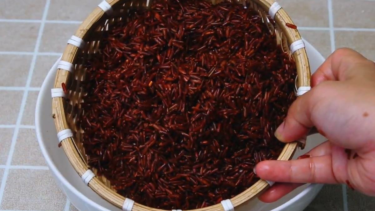 Chuẩn bị hạt sen, hồ đào và gạo lứt cho công thức sữa gạo bổ dưỡng