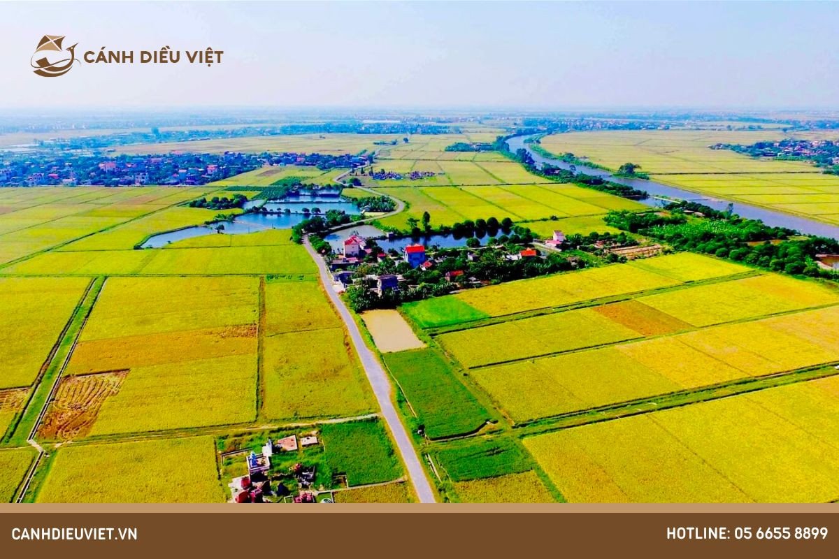 Đất phù sa màu mỡ sẵn sàng cho việc gieo cấy lúa gạo, phù hợp với đặc điểm sinh thái của cây lúa gạo là ưa khí hậu và đất ẩm