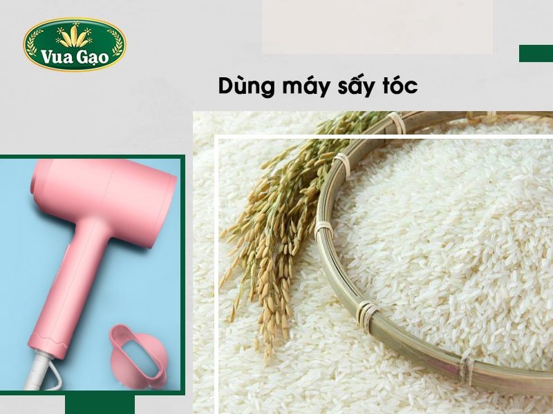 Dùng máy sấy tóc để loại bỏ mọt gạo