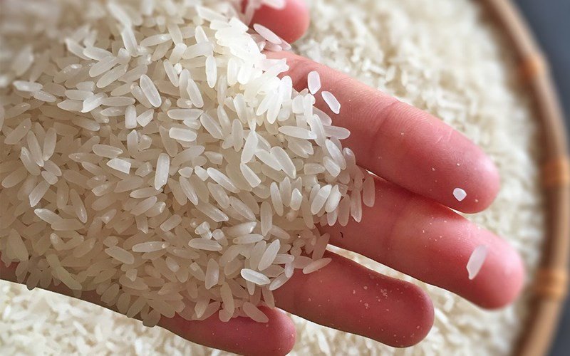 Gạo Bắc Hương với hạt trắng trong, thon dài