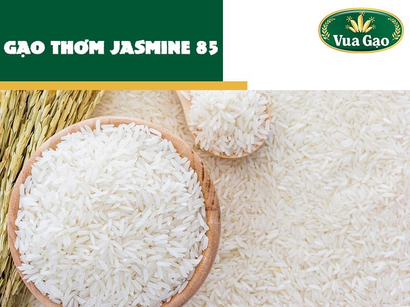 Gạo Jasmine 85 nổi tiếng với độ dẻo vừa phải và hương thơm tự nhiên, được nhiều người tiêu dùng ưa chuộng.