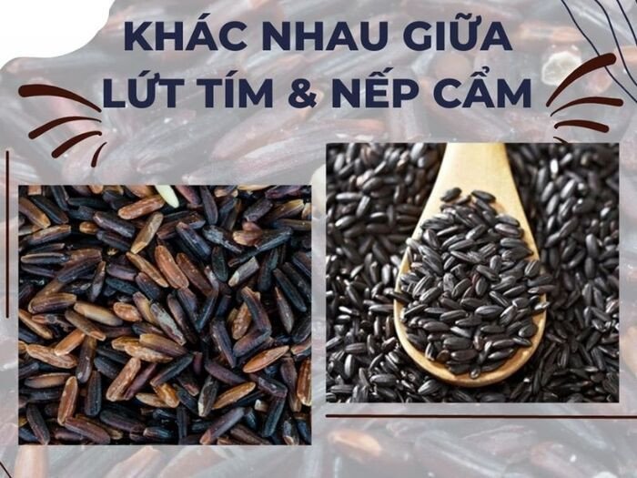 Gạo lứt và nếp cẩm