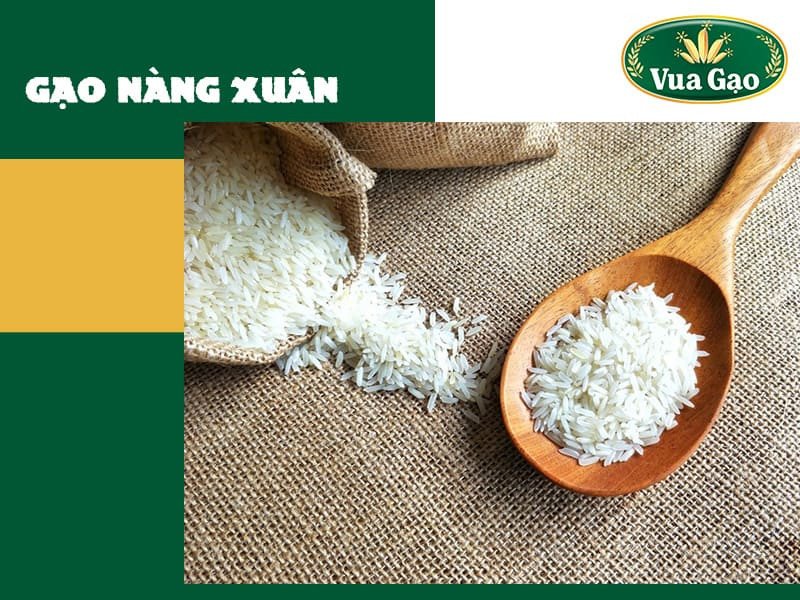 Gạo Nàng Xuân, sự kết hợp tinh tế giữa hương vị đậm đà và độ dẻo thơm quyến rũ.