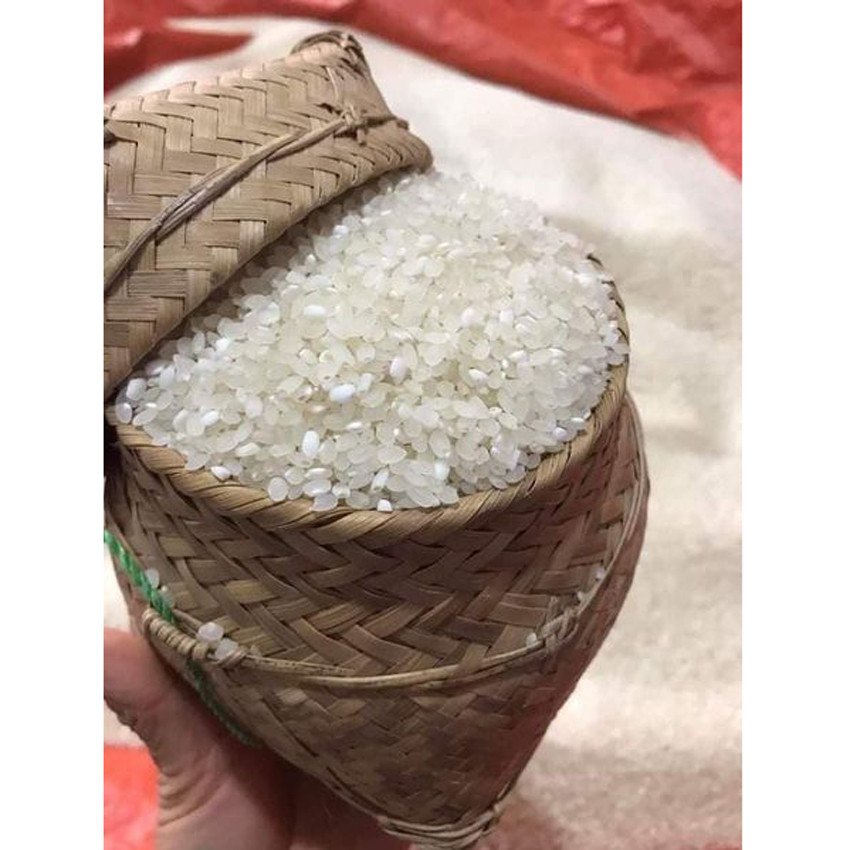 Gạo nếp Tú Lệ hạt tròn đều
