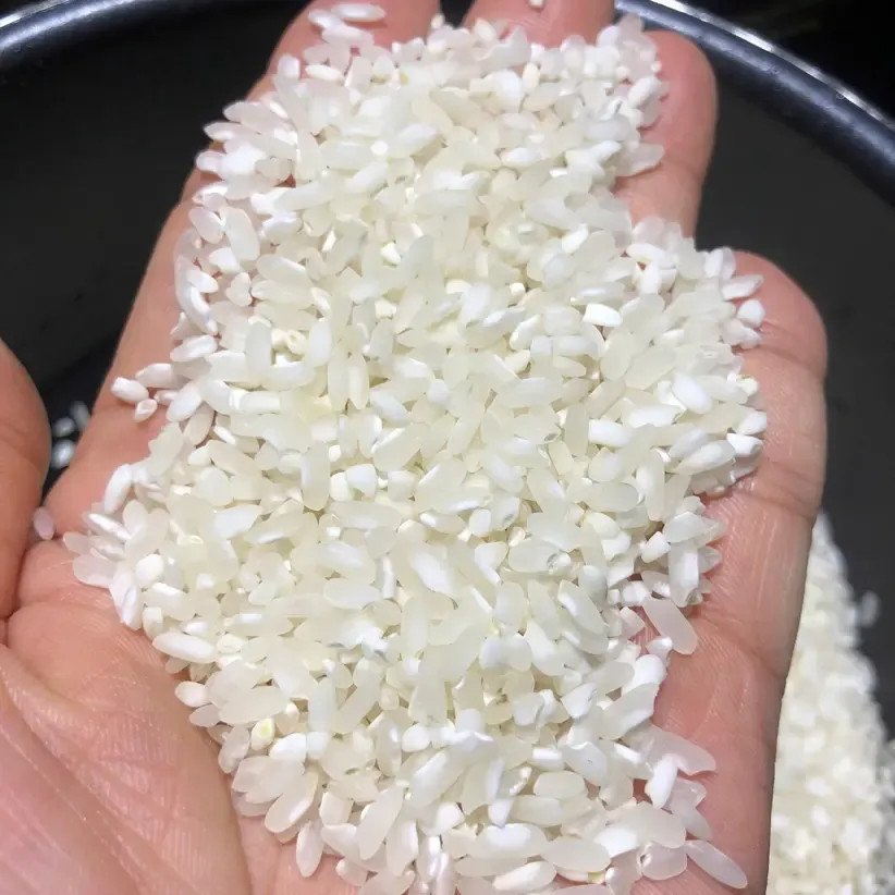 Gạo Séng Cù hạt tròn chuẩn vị