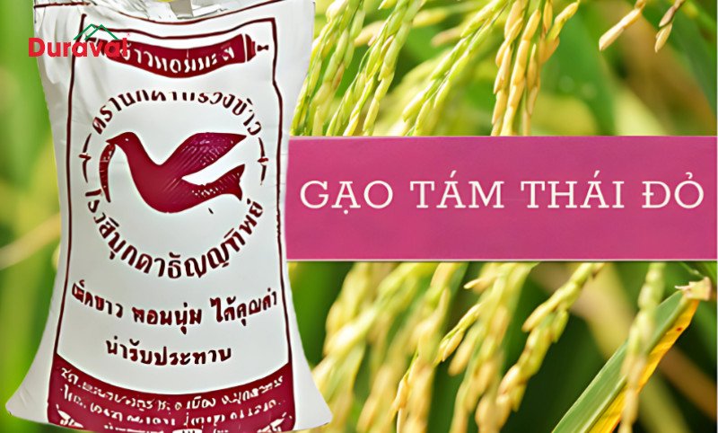 Gạo Tám Thái Đỏ hạt dài trắng ngà, cơm dẻo thơm đậm đà, là lựa chọn cao cấp