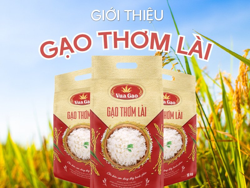 Gạo thơm lài 10kg hạt dài trắng ngần