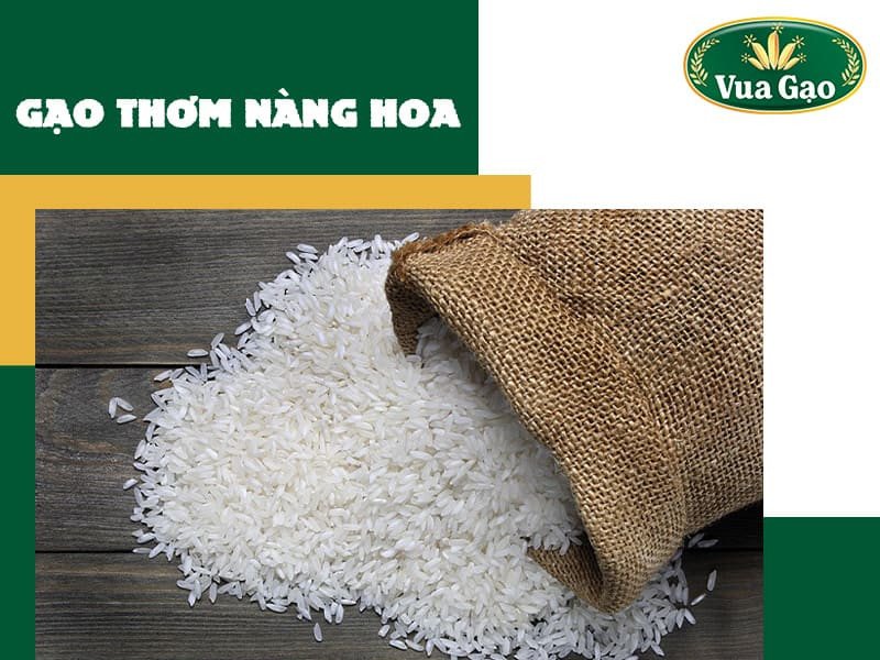 Gạo Thơm Nàng Hoa đặc sản miền Tây, với hương thơm và độ dẻo làm hài lòng mọi thực khách.