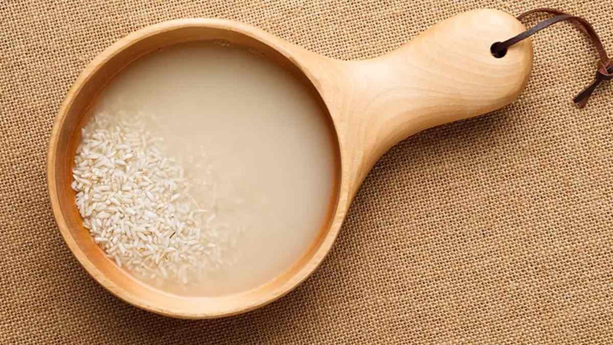 Gạo và hạt óc chó đã sơ chế, sẵn sàng làm sữa gạo bằng máy