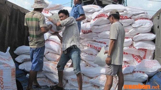 Giao diện tìm kiếm việc làm bốc xếp gạo trên nền tảng trực tuyến