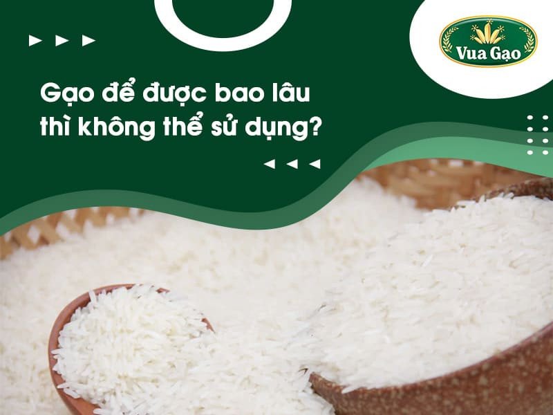 Hạn sử dụng gạo, gạo để được bao lâu nếu bảo quản đúng cách