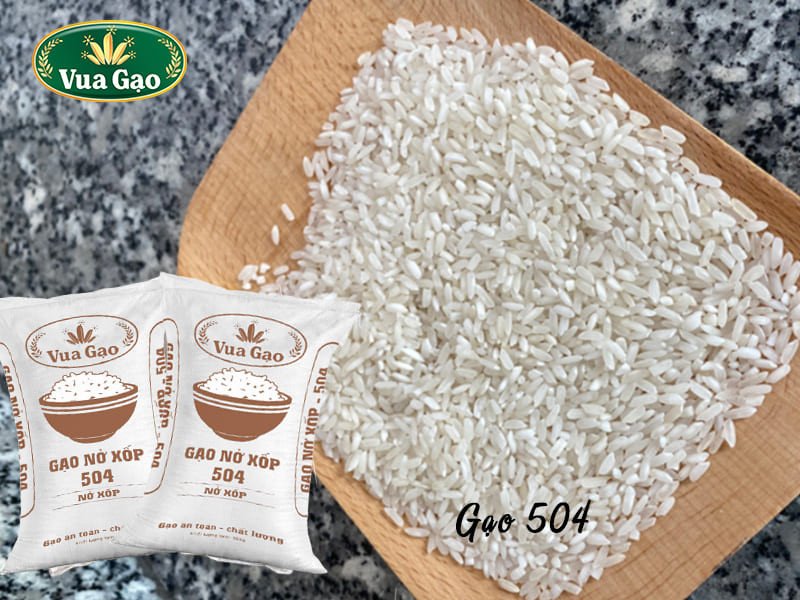 Hạt gạo 504 trắng ngà, thon dài, tượng trưng cho chất lượng cơm nở xốp