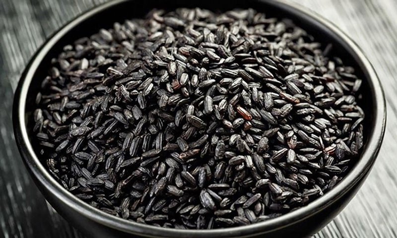 Hạt gạo lứt đen giàu protein và chất xơ