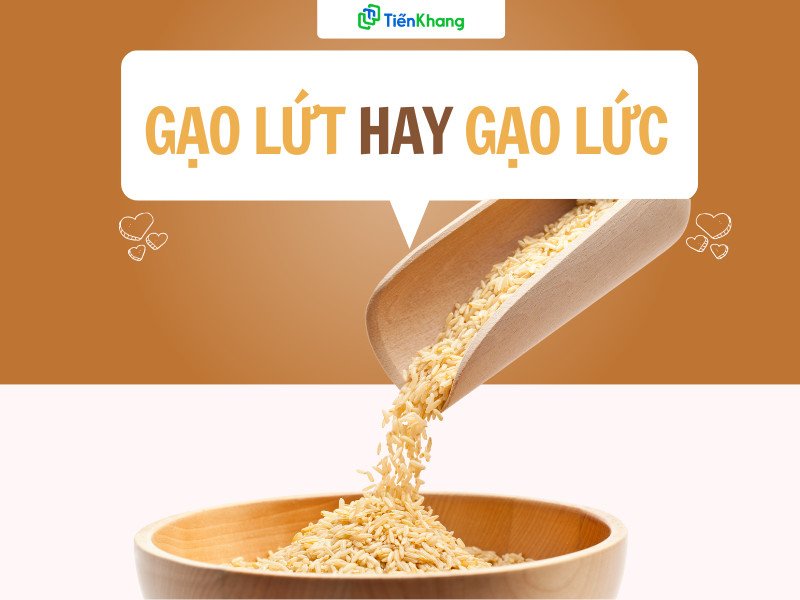 Hạt gạo lứt nguyên cám minh họa sự khác biệt giữa gạo lức và gạo lứt