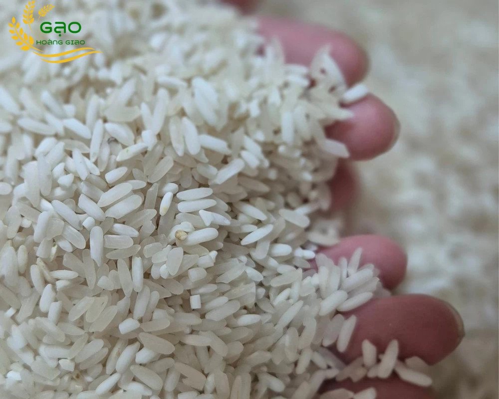 Hạt gạo Séng Cù Mường Lò dài và thon