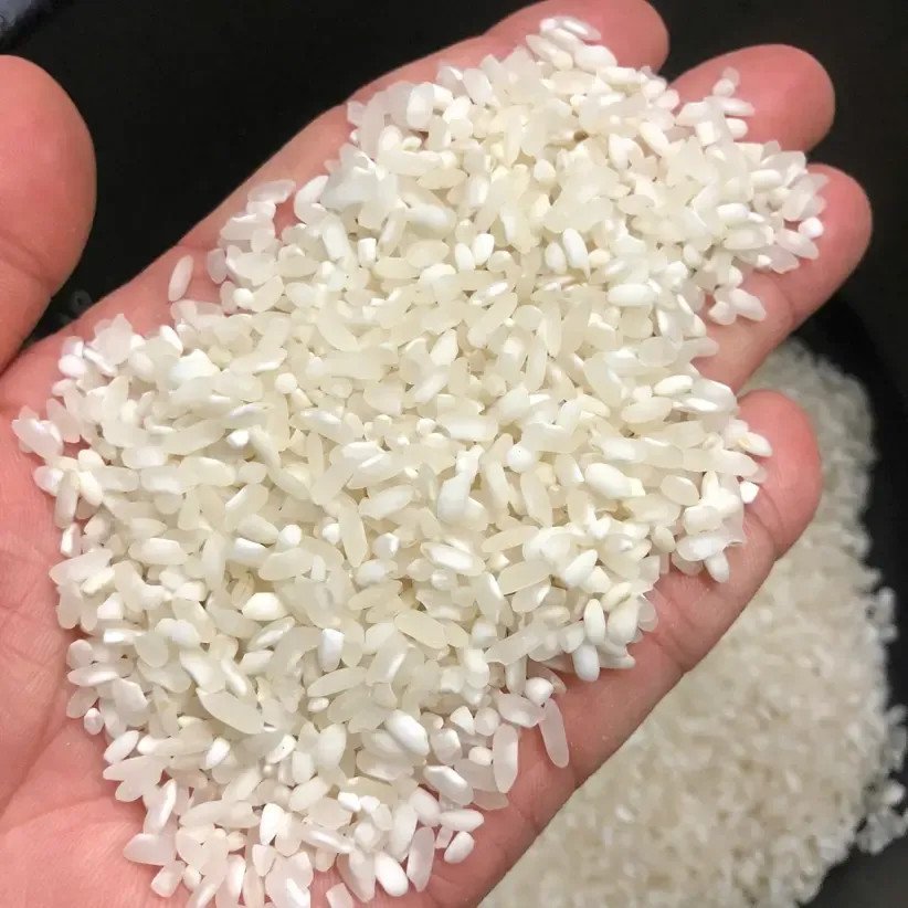 Hạt gạo Séng Cù tròn tươi mới