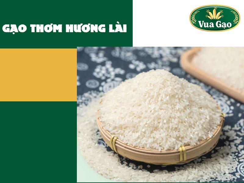 Hạt gạo Thơm Hương Lài trắng trong, dẻo thơm, một lựa chọn tương tự gạo 225 cho bữa cơm gia đình.