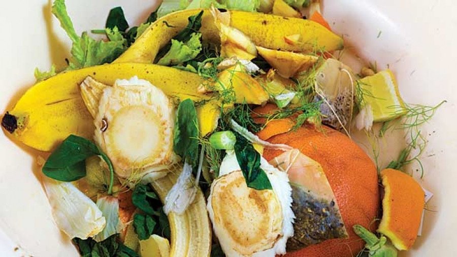 Hình ảnh minh họa các loại rác hữu cơ đang được ủ trong thùng, cho thấy quá trình phân hủy rác nhà bếp với nước vo gạo giúp tăng cường vi sinh vật có lợi và khử mùi hiệu quả.