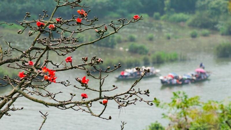 Hoa gạo bên suối Yến chùa Hương nở rực rỡ