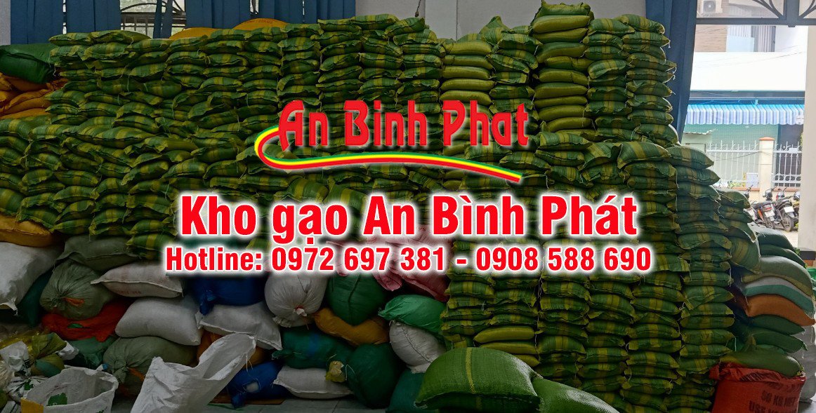 Hoạt động phân phát gạo từ thiện của một đại lý gạo uy tín, góp phần sẻ chia cộng đồng