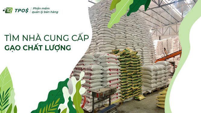 Hợp tác với nhà cung cấp gạo chất lượng để có giá nhập tốt