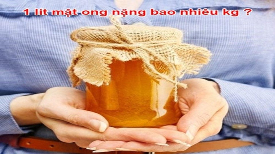 Khái niệm các đơn vị đo lường