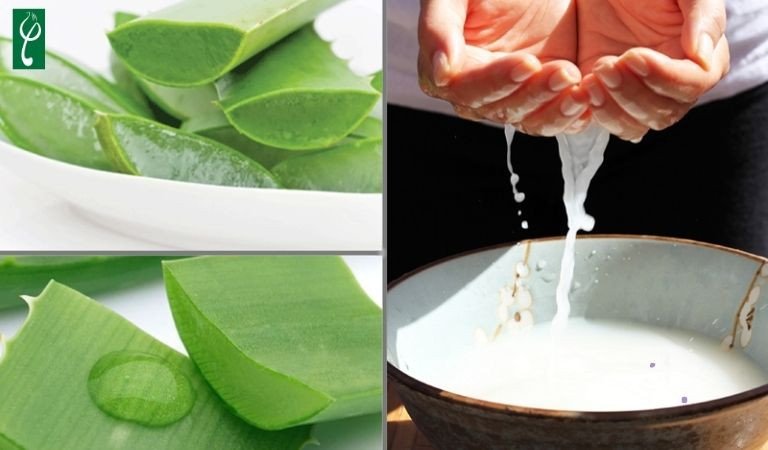 Mặt nạ nước vo gạo kết hợp nha đam giúp làm trắng và dịu da