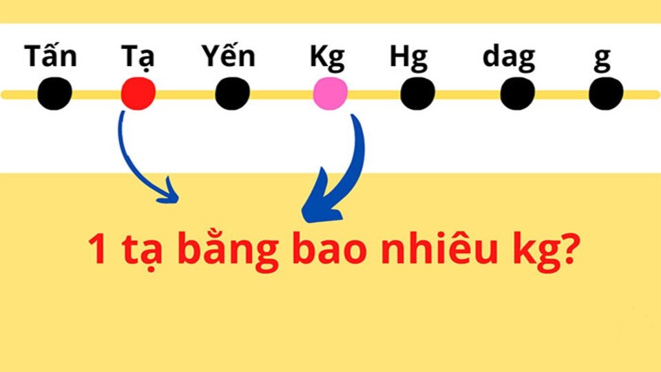 Minh họa ứng dụng chuyển đổi đơn vị trực tuyến hiển thị phép tính quy đổi khối lượng gạo