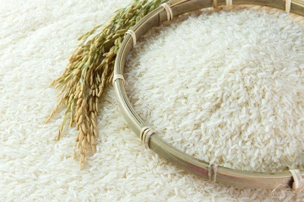 Một cánh đồng lúa xanh mướt, tượng trưng cho nguồn gốc của gạo ngon và thực phẩm sạch