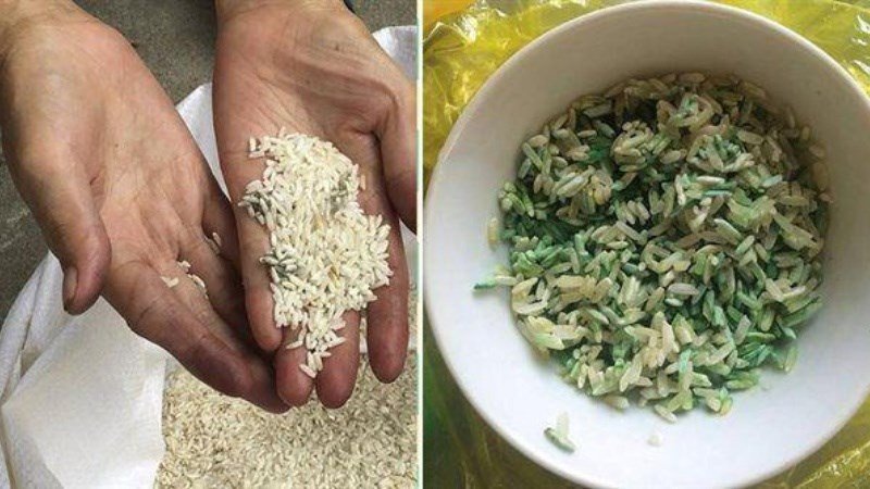 Một người phụ nữ đang loại bỏ phần gạo đã bị nấm mốc khỏi thùng gạo