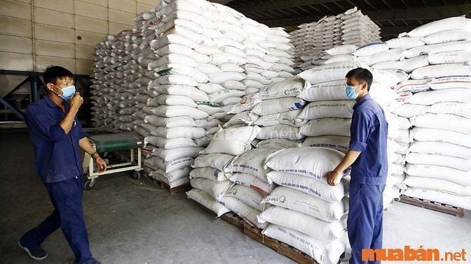Người lao động bốc xếp gạo đang làm việc với xe nâng, thể hiện mức lương ổn định
