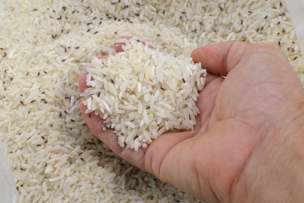 Bí Quyết Cách Bảo Quản Gạo Được Lâu, Giữ Trọn Vẹn Chất Lượng