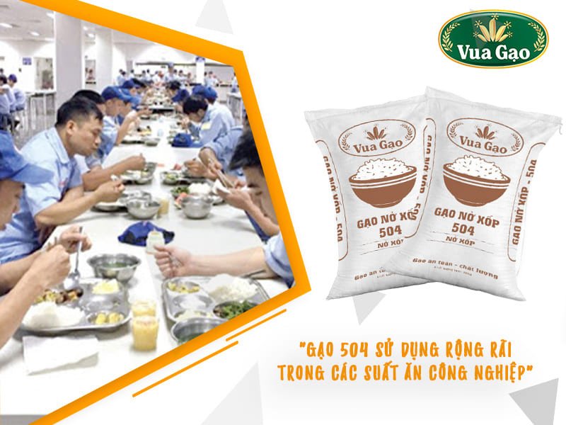 Những bao gạo 504 được đóng gói kỹ lưỡng, sẵn sàng cho các bếp ăn công nghiệp