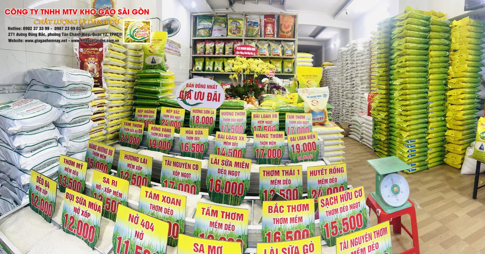 Những bao gạo Nàng Hoa xếp chồng chờ phân phối, thể hiện sự dồi dào nguồn cung