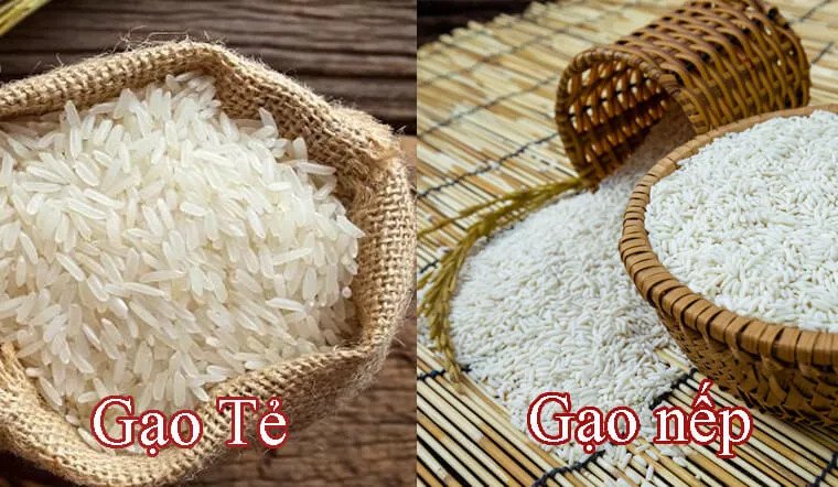 Phân biệt các loại gạo phổ biến như gạo nếp và gạo tẻ