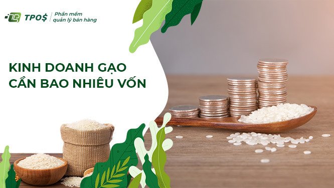 Quản lý các khoản đầu tư ban đầu cho cửa hàng gạo