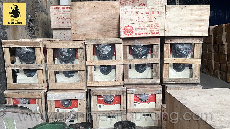 Quy trình xay xát lúa gạo tại nhà máy hiện đại