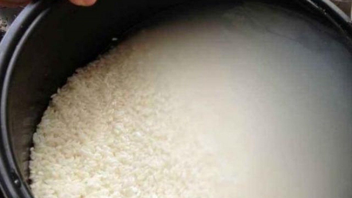 Rang gạo để chuẩn bị làm sữa gạo bằng máy làm sữa hạt