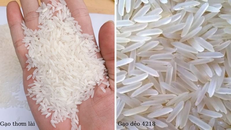 So sánh đặc điểm gạo thơm lài và gạo dẻo 4218