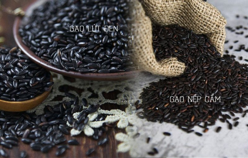 So sánh hình dạng và màu sắc của gạo lứt đen và gạo nếp cẩm rõ nét