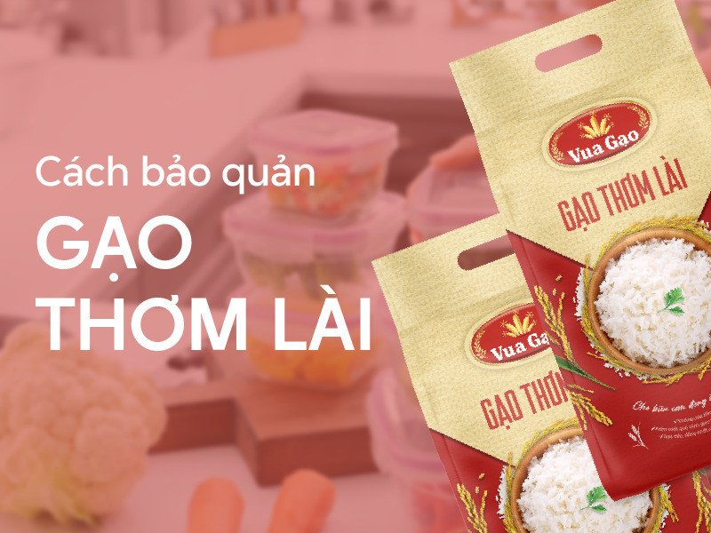 Thùng đựng gạo thơm lài 10kg chống mối mọt hiệu quả