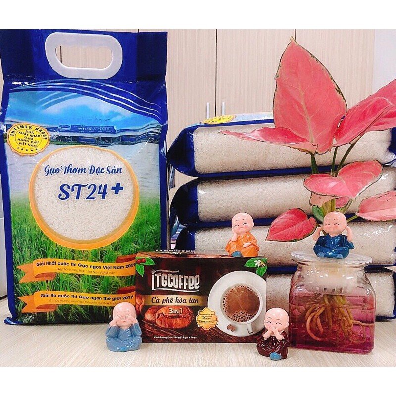 Thương hiệu gạo uy tín và tác động của nó đến giá 1 bao gạo 25kg